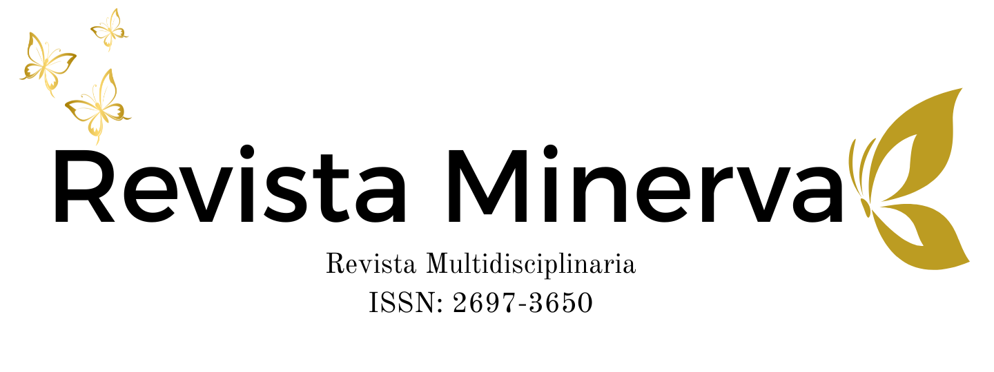 Banner Minerva